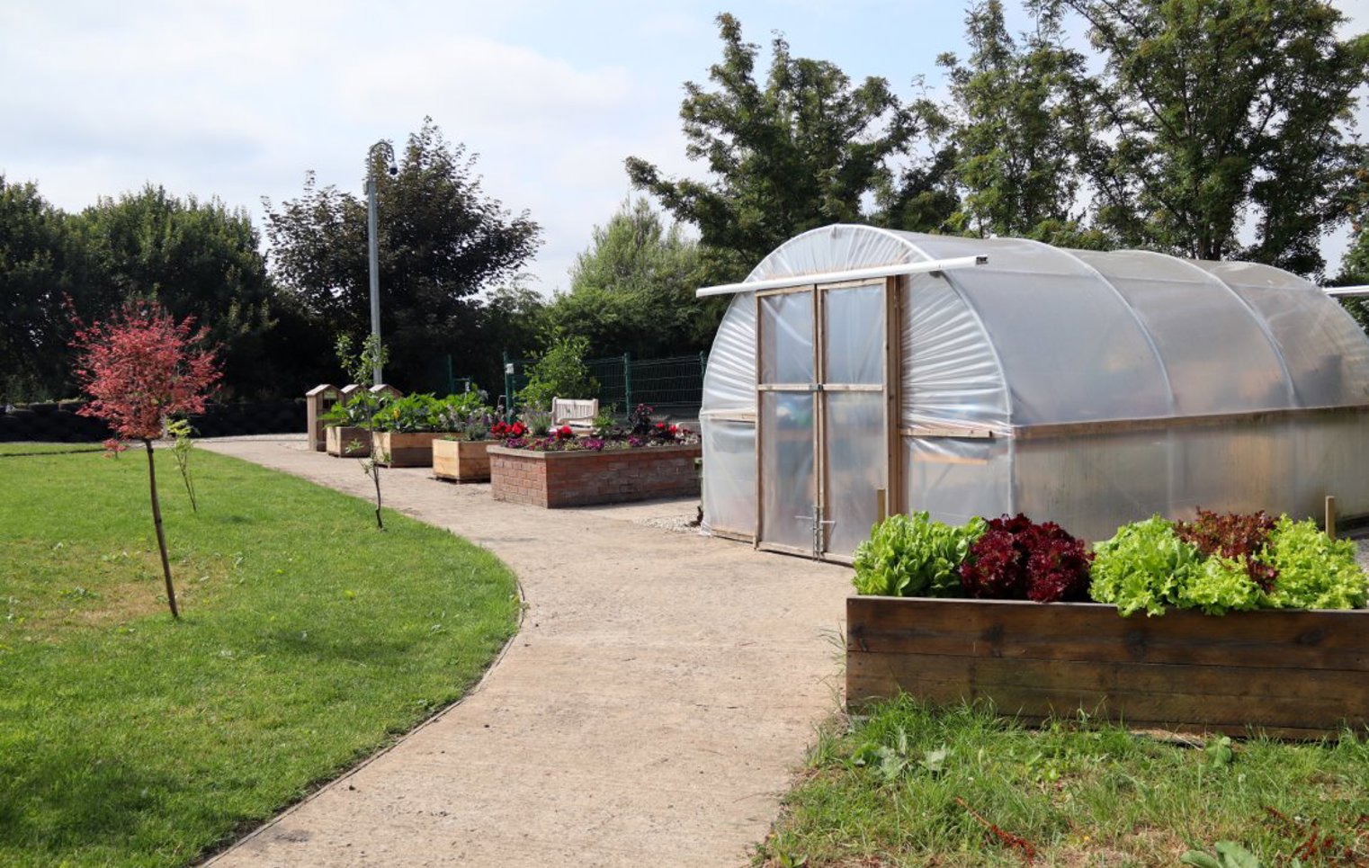 A tidy garden area at Glasgow Kelvin College featuring a clear polytunnel, raised flower beds, and a path lined with small trees and lush greenery.