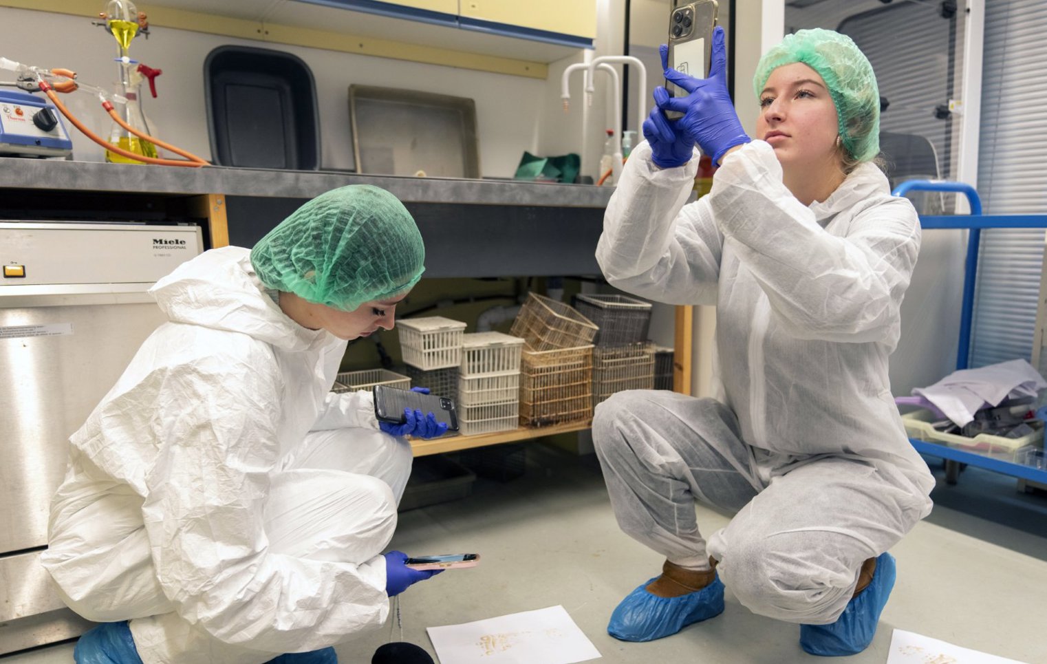 Students photograph and examine evidence on the lab floor during a hands-on forensic science class.